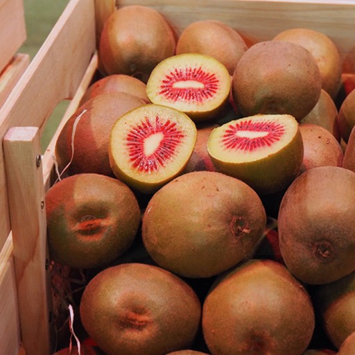 Arta Fruits Kiwi
