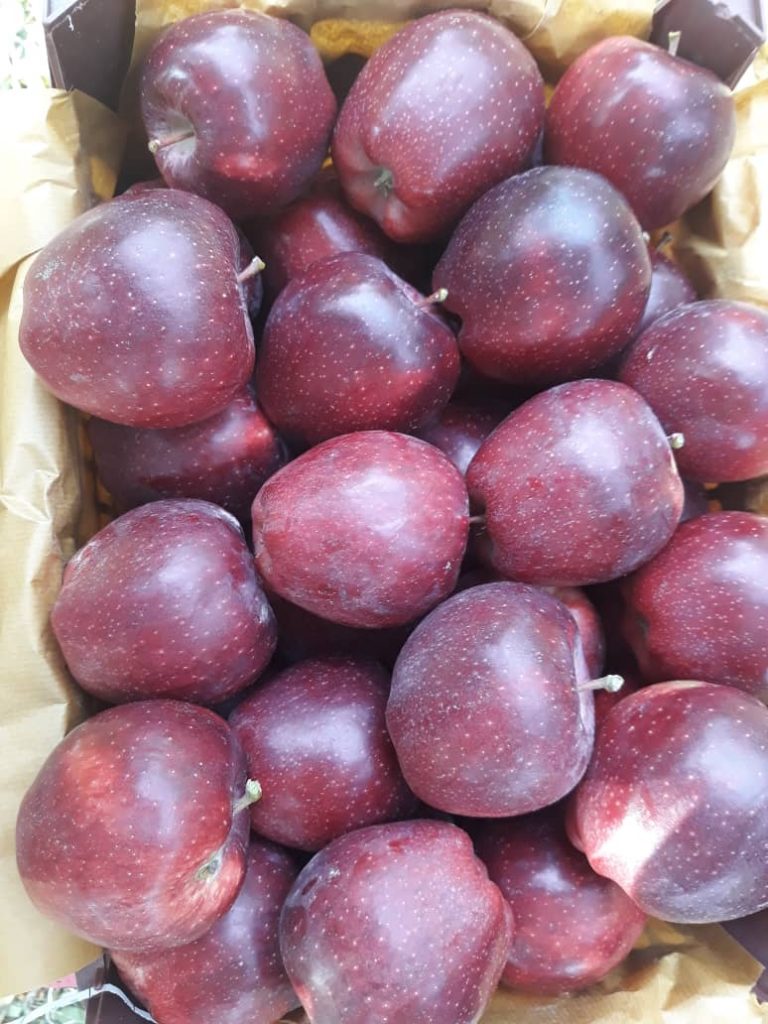 Arta Fruits Red Apples